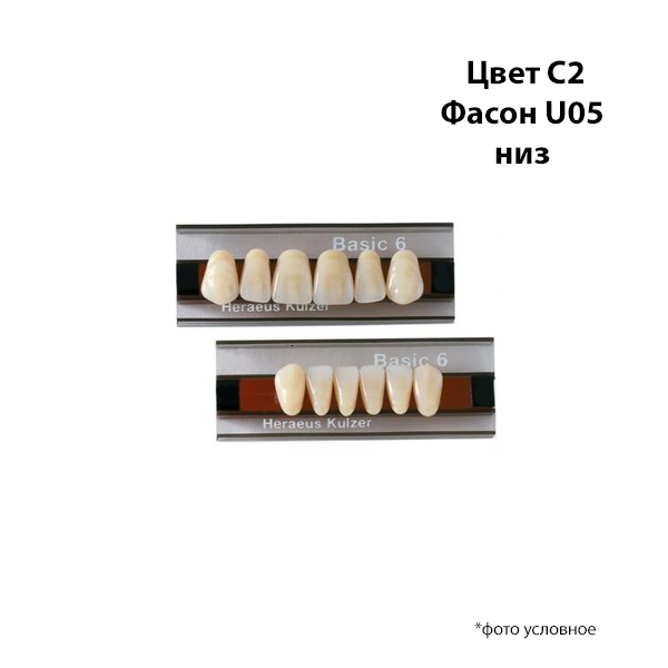 Зубы Basic 6 цвет С2 фасон U05 низ купить