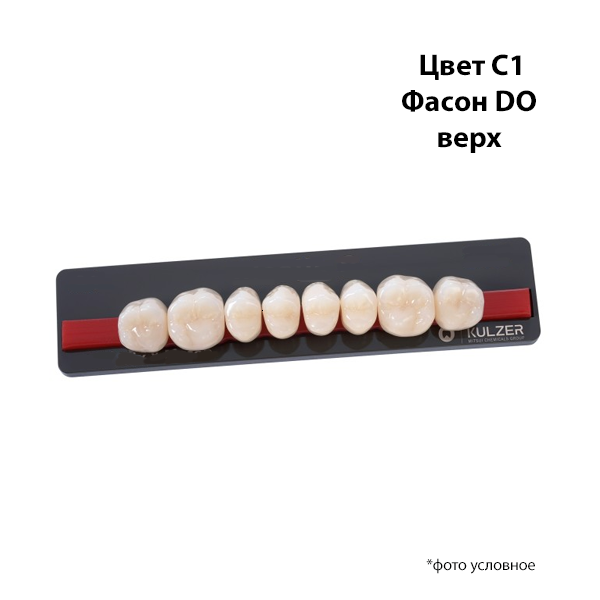 Зубы Basic 8 цвет С1 фасон DO верх купить