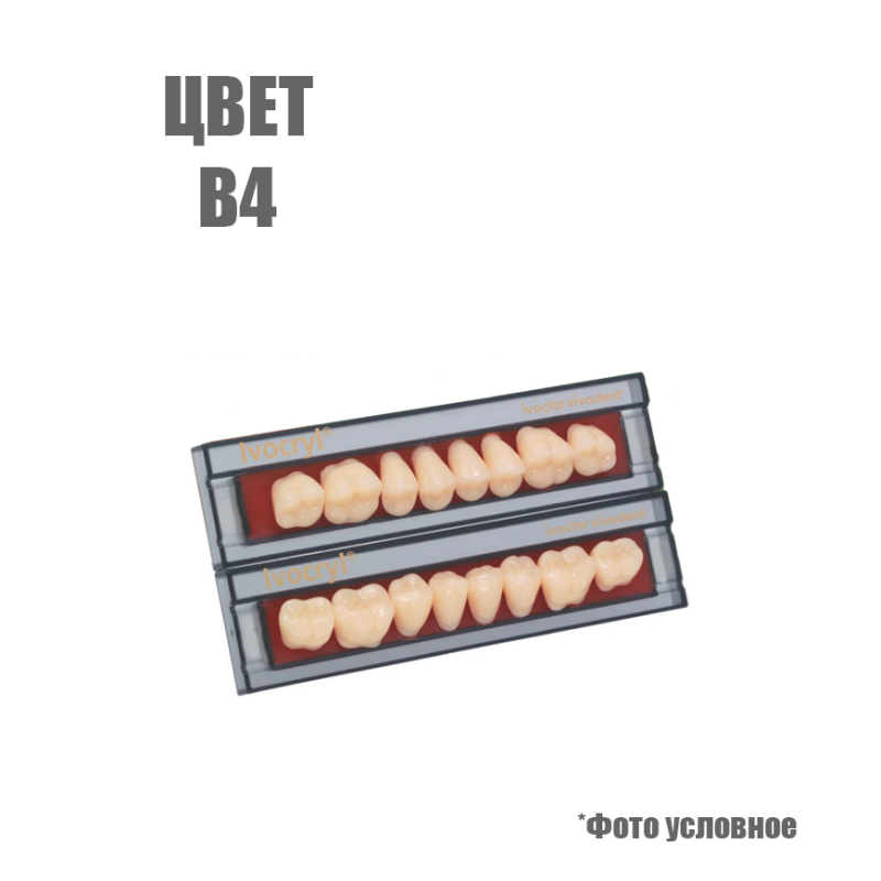 Зубы искуственные Set of 8 upper В4 D84 купить