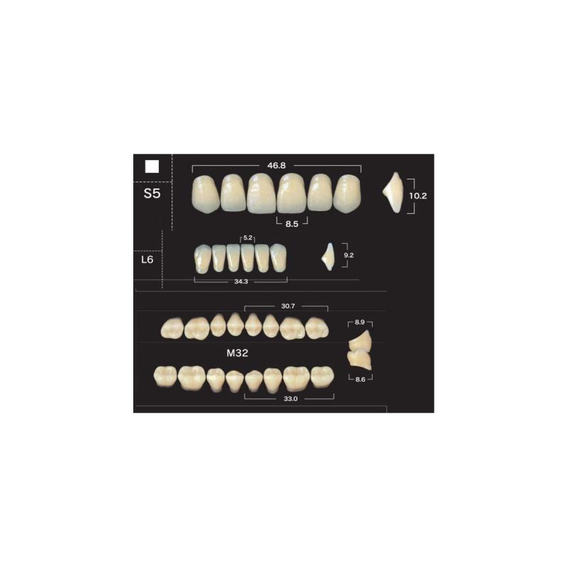 Зубы акриловые New Ace & Naperce цвет А3,5 фасон TL4/М33 купить