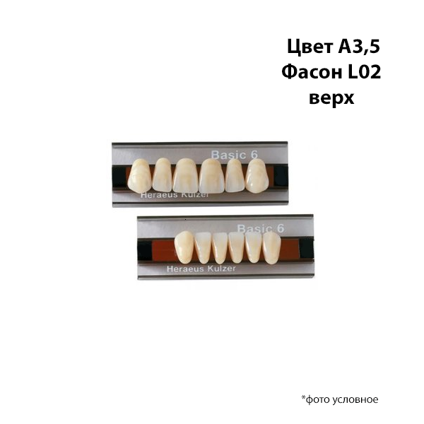 Зубы Basic 6 цвет А3,5 фасон L02 верх купить
