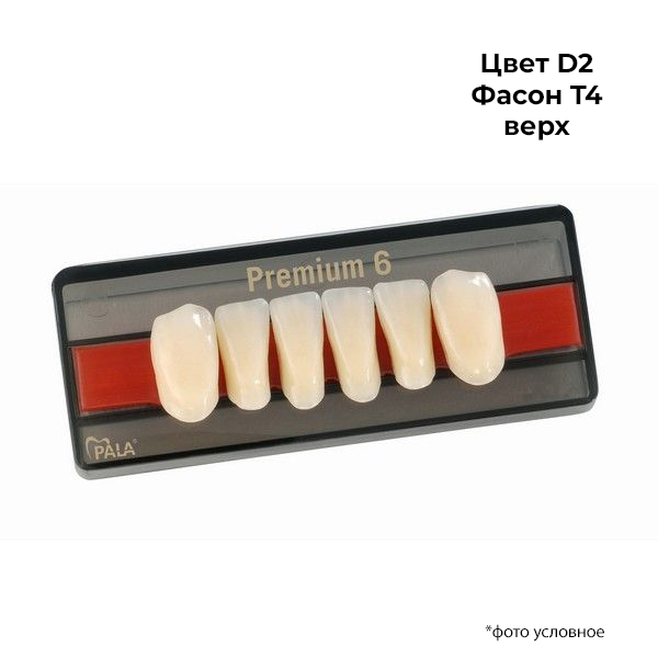Зубы Premium 6 цвет D2 фасон T4 верх купить