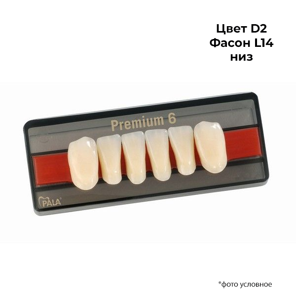 Зубы Premium 6 цвет D2 фасон L14 низ купить