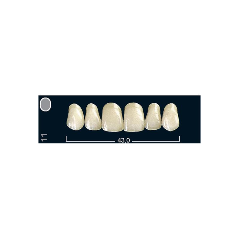 Зубы искуственные фронтальные верхние Ivoclar Set of 6 U OK11 A2 купить