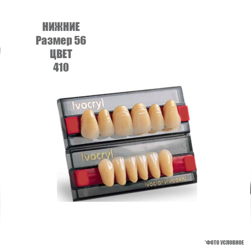 Зубы искуственные фронтальные нижние Ivoclar Set of 6 L UK56 410 купить