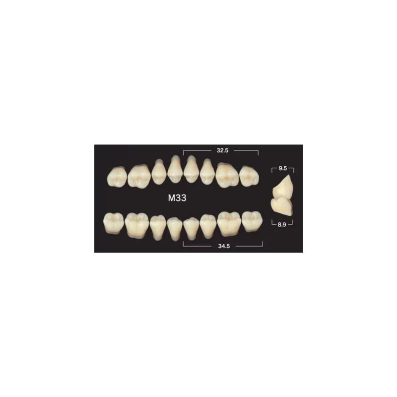 Зубы акриловые New Ace & Naperce цвет А1 фасон TL4/M33 28шт купить