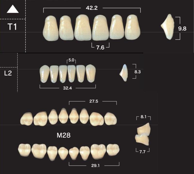 Зубы акриловые New Ace & Naperce цвет А2 фасон T1/M30 28шт купить